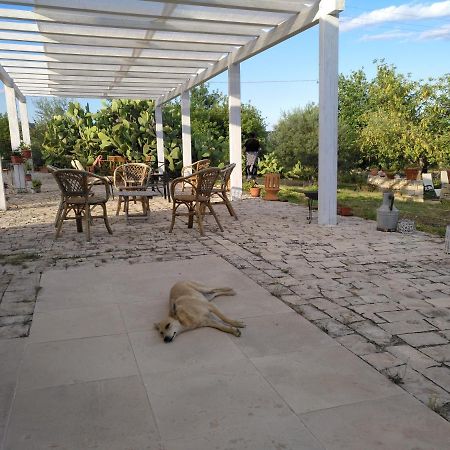 فيلا نوتوفي Agriturismo Gaia المظهر الخارجي الصورة