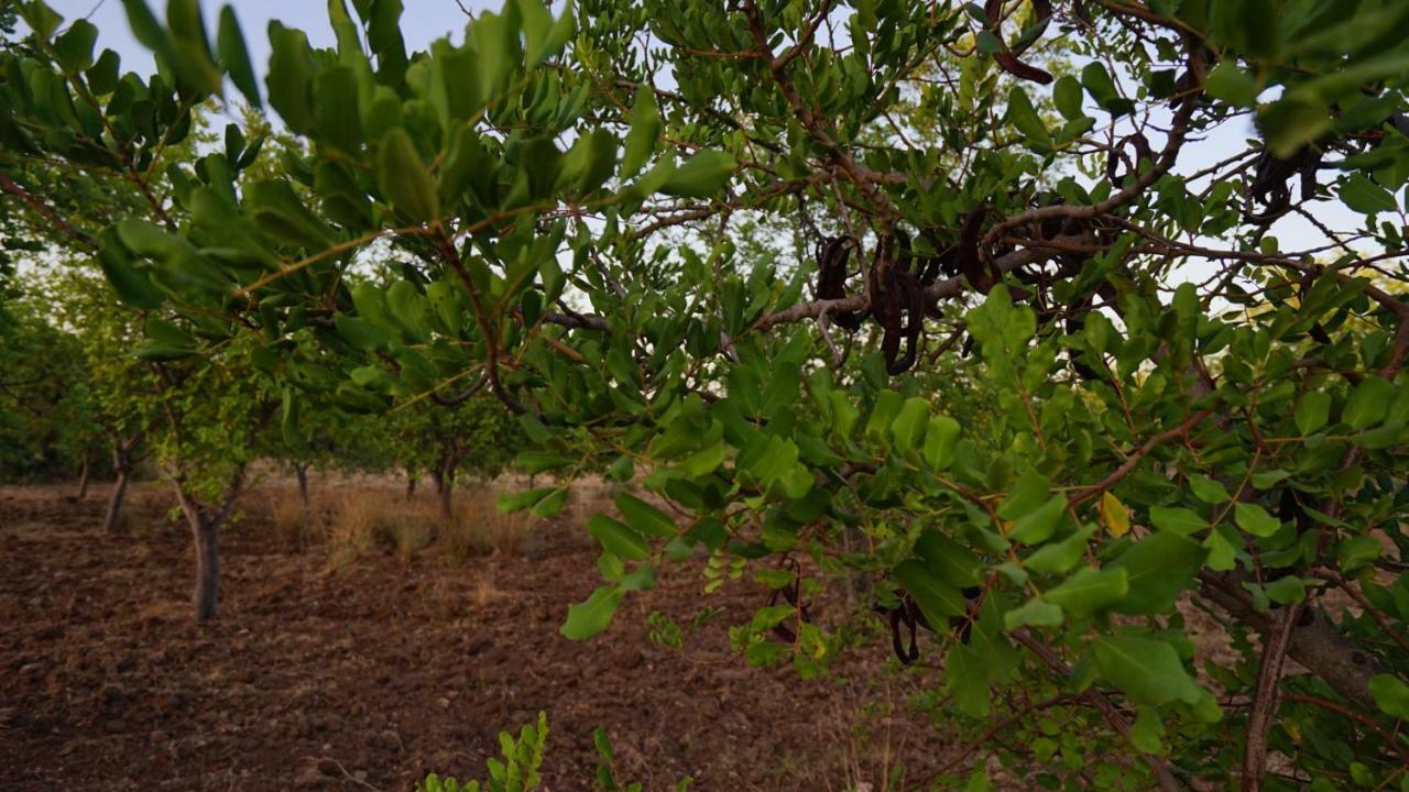فيلا نوتوفي Agriturismo Gaia المظهر الخارجي الصورة