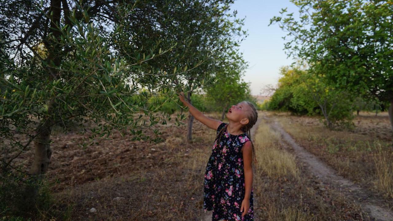فيلا نوتوفي Agriturismo Gaia المظهر الخارجي الصورة