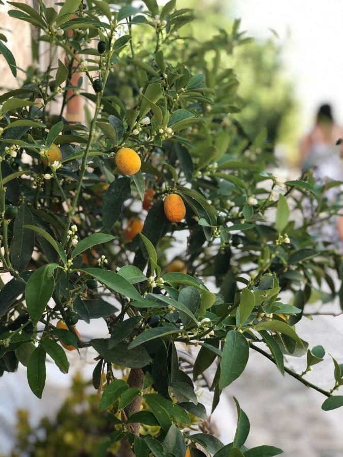 فيلا نوتوفي Agriturismo Gaia المظهر الخارجي الصورة