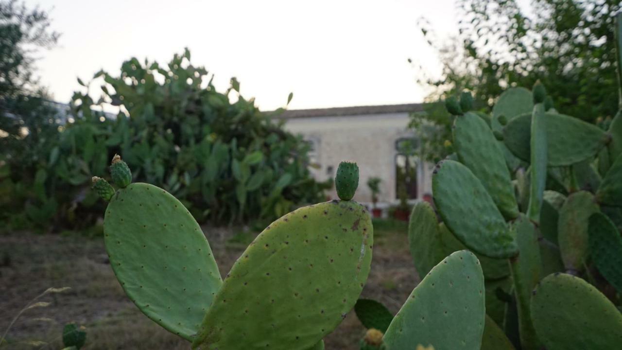 فيلا نوتوفي Agriturismo Gaia المظهر الخارجي الصورة