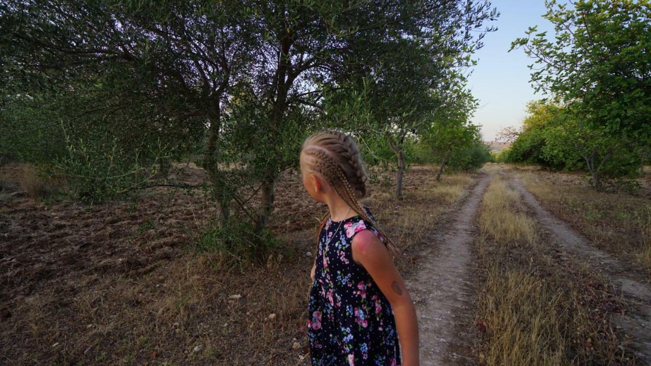 فيلا نوتوفي Agriturismo Gaia المظهر الخارجي الصورة